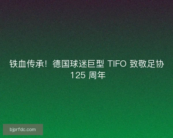 铁血传承！德国球迷巨型 TIFO 致敬足协 125 周年