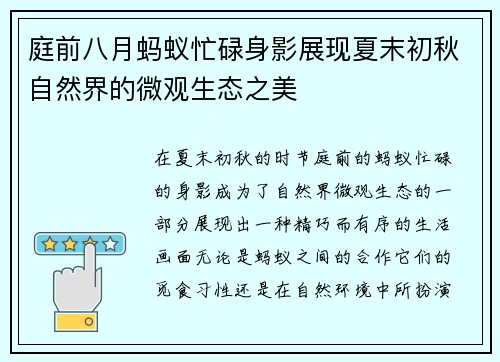庭前八月蚂蚁忙碌身影展现夏末初秋自然界的微观生态之美